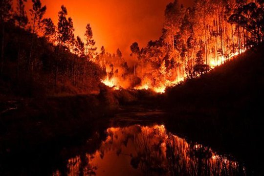 Օրը լուսանկարներում. Պորտուգալիայի այրվող անտառները