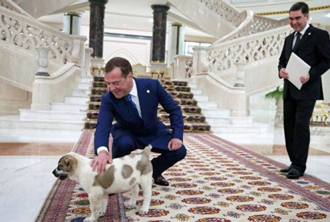Մեդվեդևը տեսագրություն է հրապարակել ալաբայա շան ձագի հետ, որը նրան նվիրել է Թուրքմենստանի նախագահը