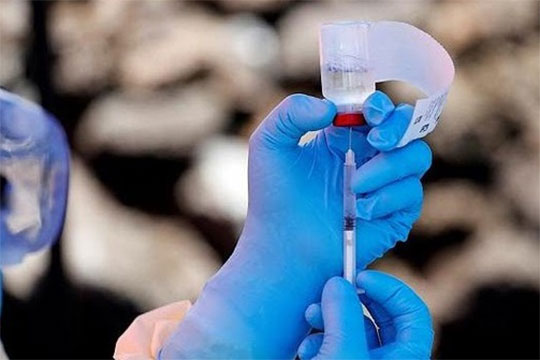 Գիտնականները էբոլայի դեմ դեղամիջոց են հայտնաբերել