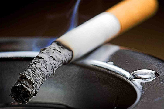 Գիտնականներն անվանել են ծխողներին քաղցկեղից պաշտպանող մթերքները