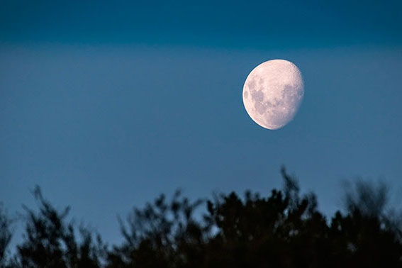 NASA-ն և Ճապոնիան պայմանավորվել են միասին ուսումնասիրել Լուսինը