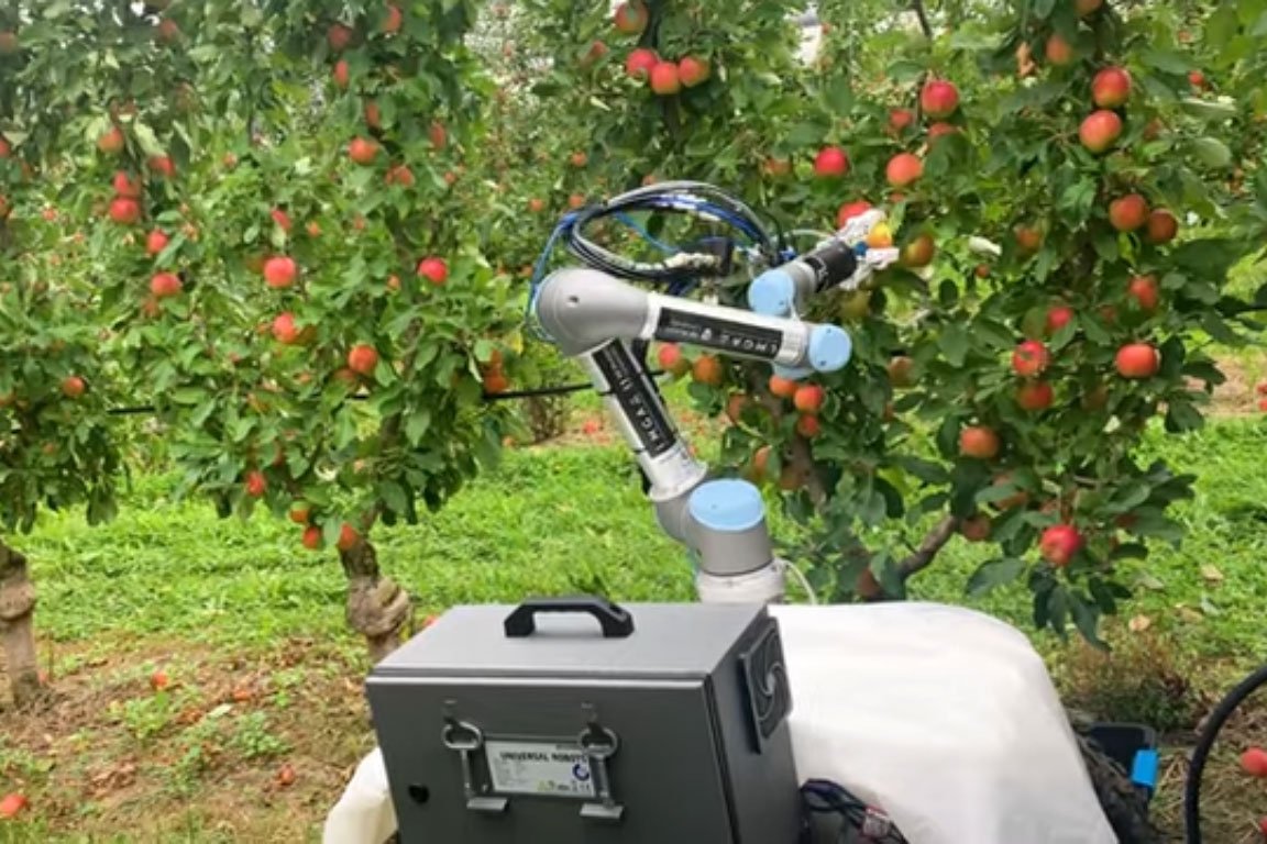 Ավստրալացիները խնձոր հավաքող ռոբոտ են մշակել