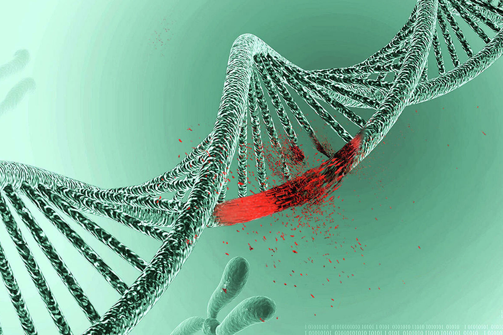 Գիտնականները ստուգել են, թե արդյոք կորոնավիրուսը փոփոխություններ է առաջացնում մարդու ԴՆԹ-ում