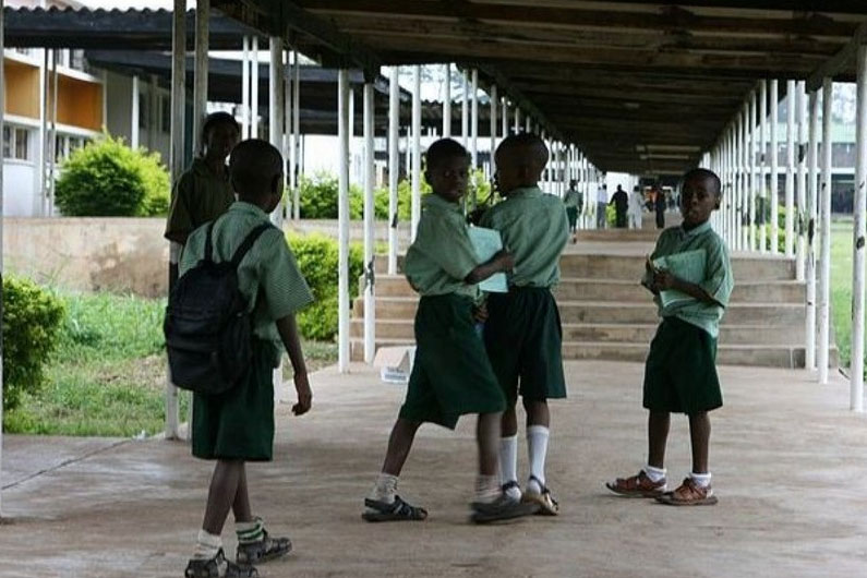 Նիգերիայում ավելի քան 12 մլն երեխա վախենում է դպրոց հաճախել