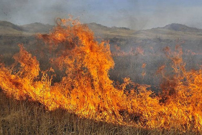 Կարմիր Աղեկ գյուղում այրվել է մոտ 120 հակ կուտակած անասնակեր