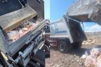 Ոչնչացվել է 25 տոննա մսամթերք. ՍԱՏՄ