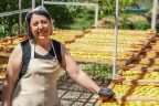 Suebar. չիր և կոնֆետներ՝ առողջ քաղցրավենիք նախընտրողների համար