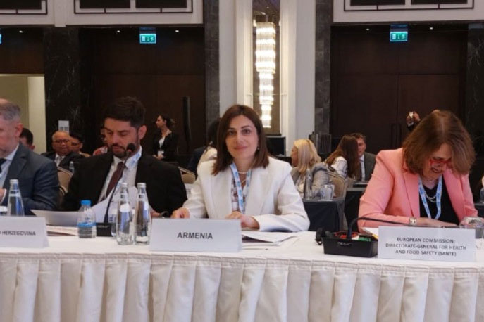 Անահիտ Ավանեսյանը Ստամբուլում մասնակցում է առողջապահական համակարգերի պատրաստվածությանը նվիրված համաժողովին