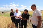 Հանձնաժողովն ուսումնասիրում է կարկուտից տուժած բնակավայրերի վնասները