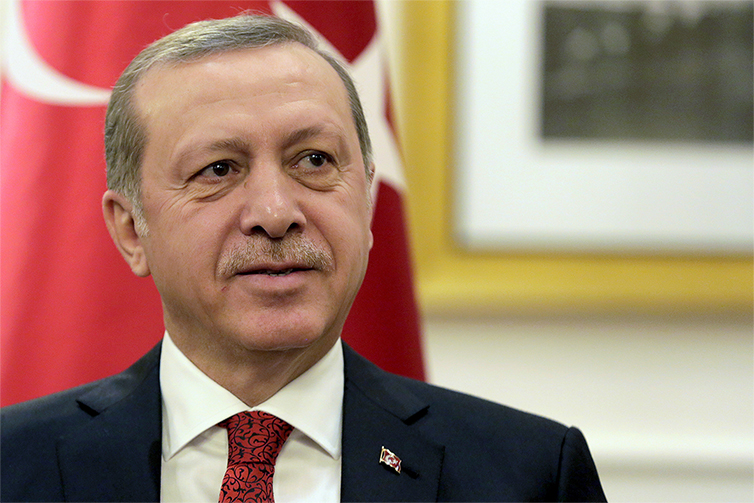 Эрдоган уверен, что США «хотят окружить и укротить Турцию, как льва»