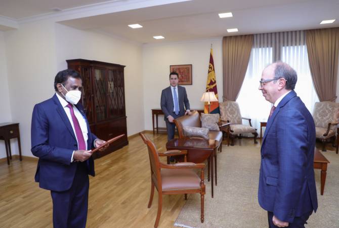 Посол Шри-Ланки вручил копии верительных грамот главе МИД Армении