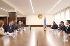 Сурен Папикян принял делегацию руководителя ереванского офиса Совета Европы
